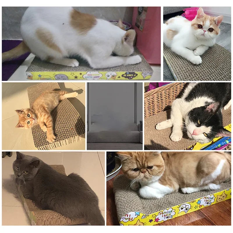 Cats Toys