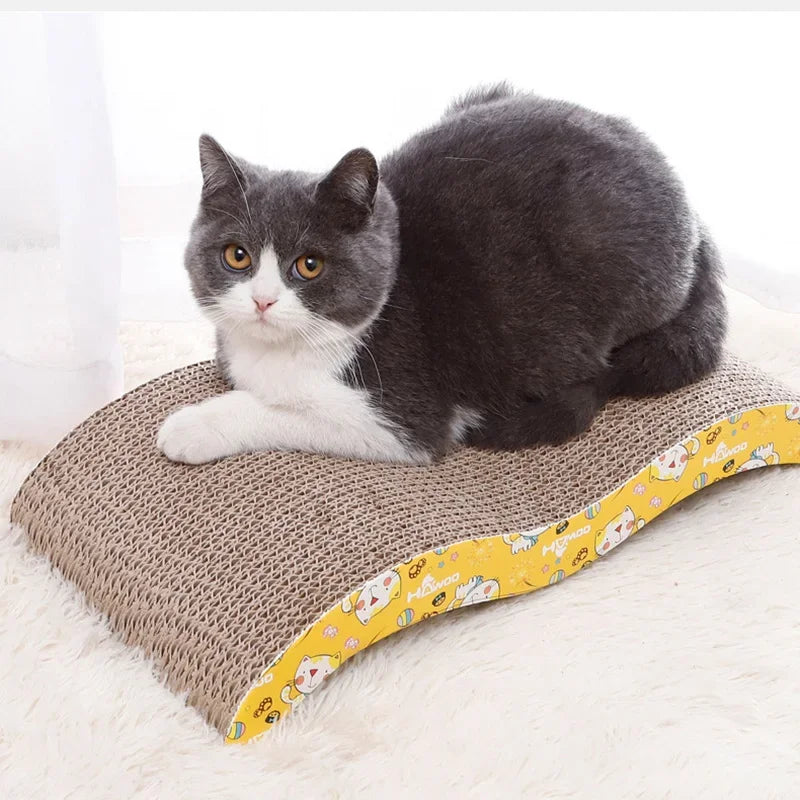 Cats Toys