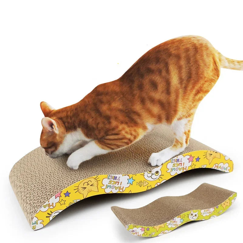 Cats Toys